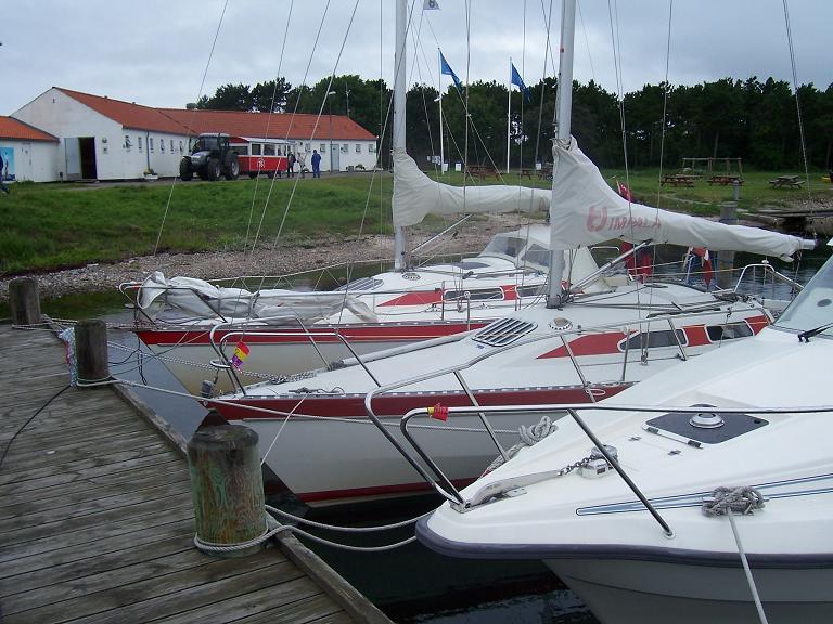 Impalatræf Tunø 2011