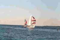 Klik for stort billede