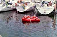 Klik for stort billede
