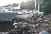 Klik for stort billede